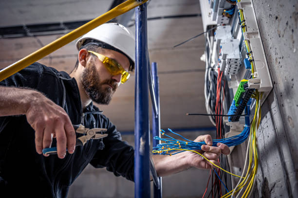 Best Home Electrical Repair  in Iola, WI